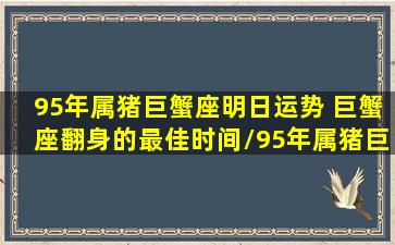 95年属猪巨蟹座明日运势 巨蟹座翻身的最佳时间/95年属猪巨蟹座明日运势 巨蟹座翻身的最佳时间-我的网站